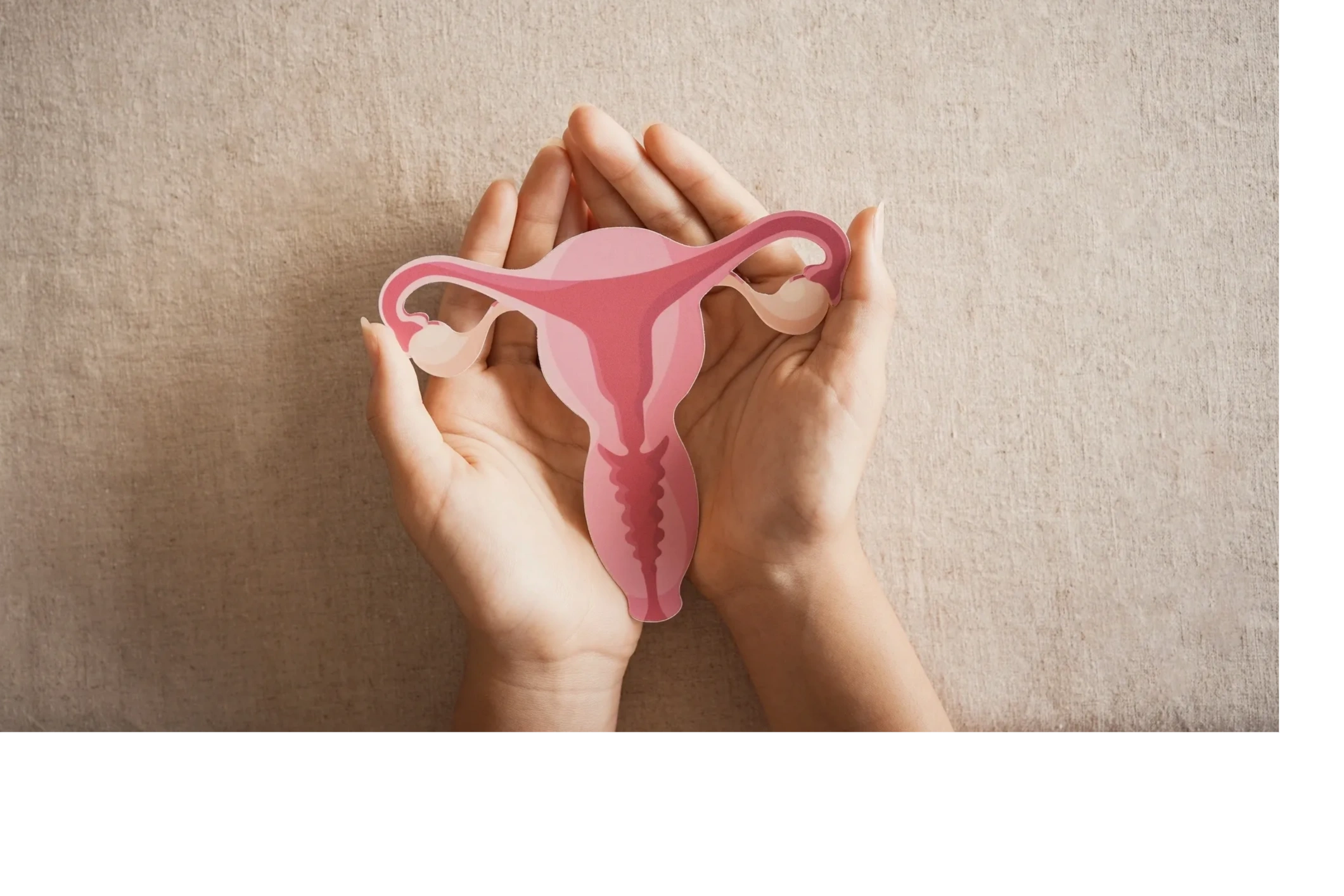 Hands holding a pink uterus illustration